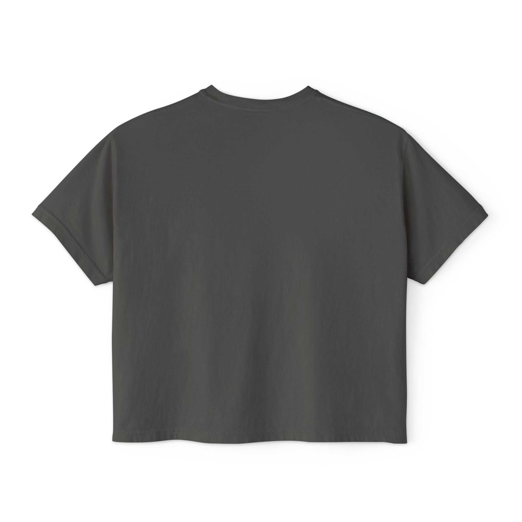 Boxy Geology T-Shirt: Geology Rocks V2