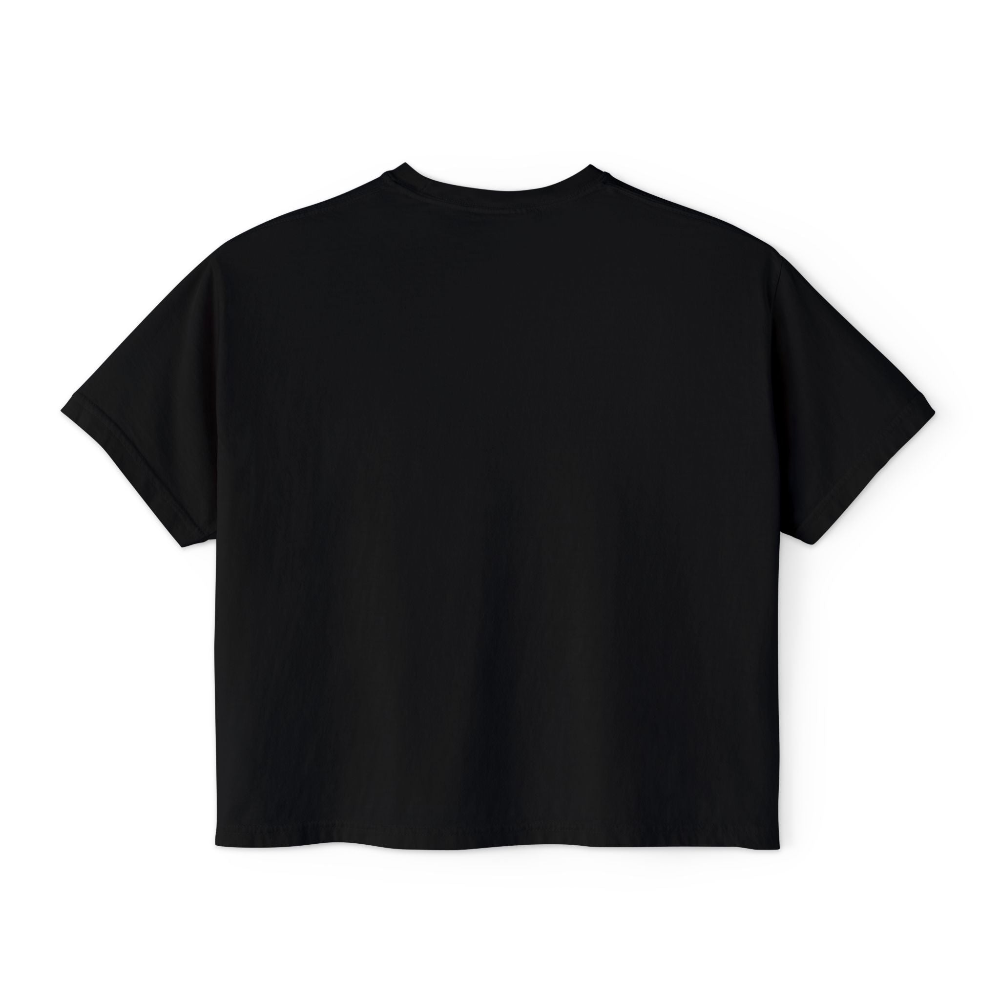 Boxy Geology T-Shirt: Geology Rocks V2