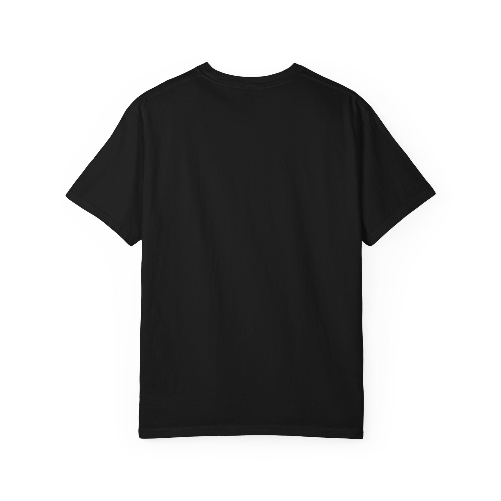 Black Funny Geology T-Shirt: You can't buy happiness, but you can buy a rock
