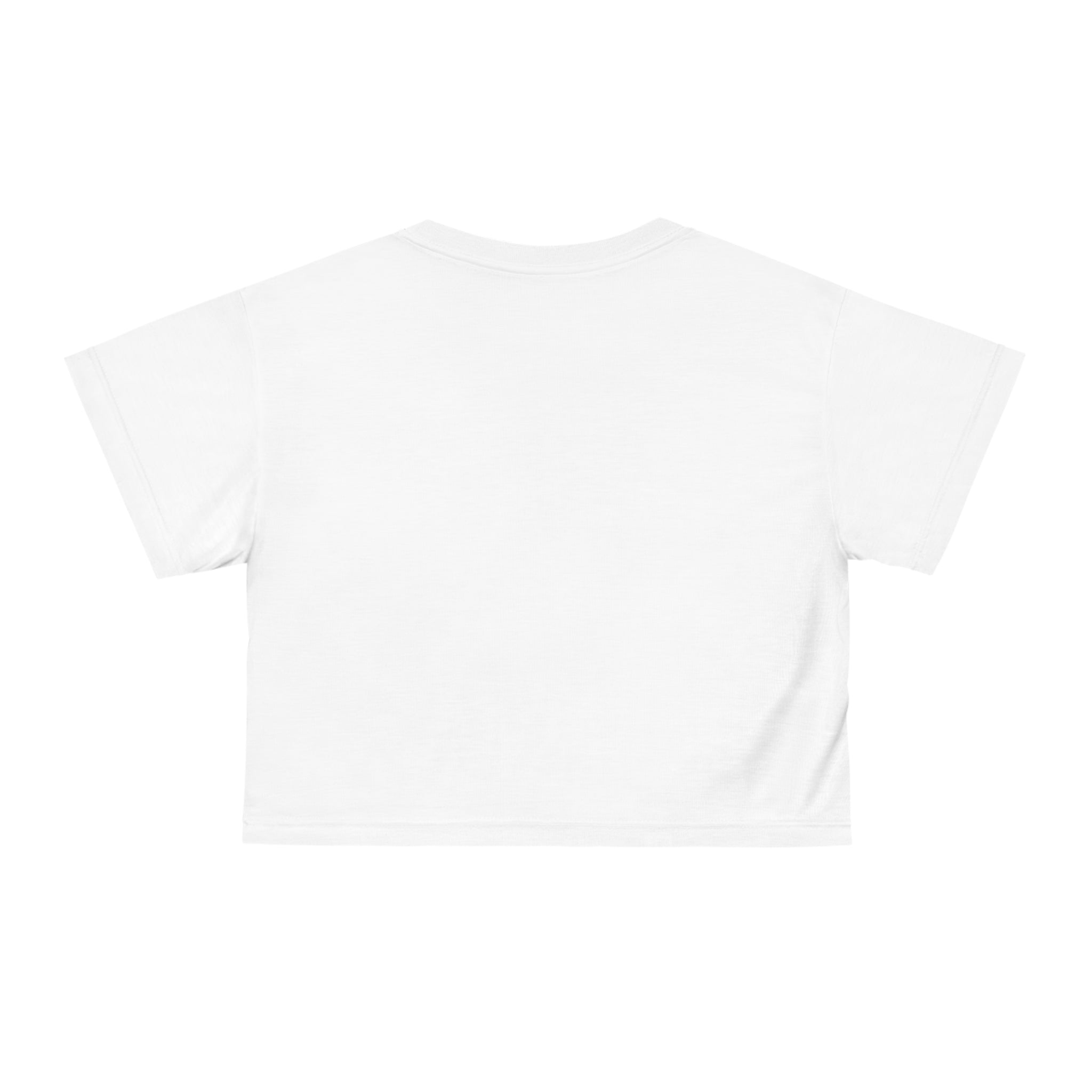 NP: Monument Valley Crop Tee V2 —  Logo