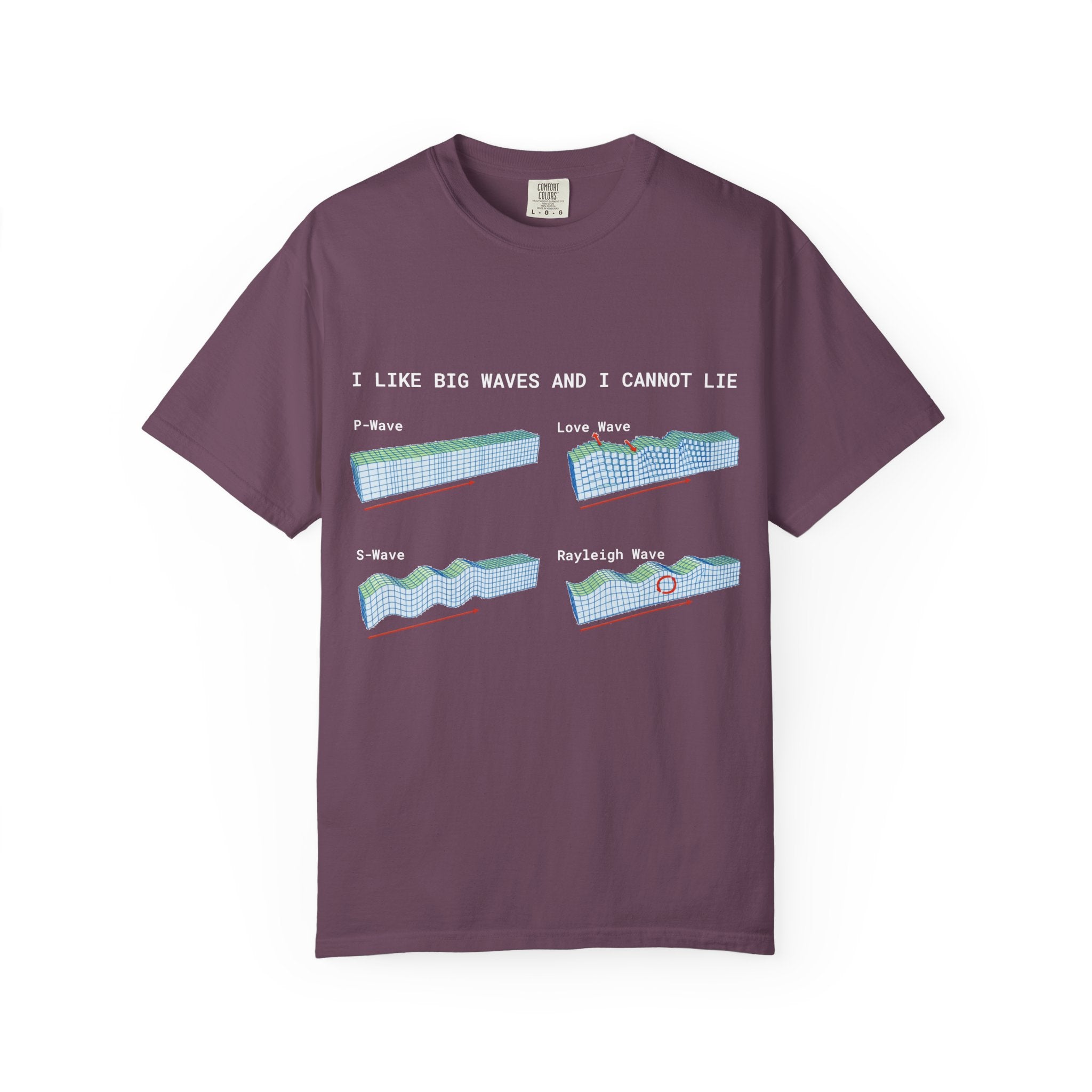 Bay Funny Geophysics T-Shirt: I Like Big Waves and I Cannot Lie